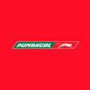 Pumangol Logo Animation. Projekt z dziedziny  Motion graphics i  Reklama użytkownika Divaldo Barbosa - 23.04.2023