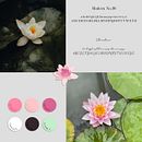 Rosa del Nilo - Branding  Ein Projekt aus dem Bereich Br, ing und Identität und Grafikdesign von Beatriz Fernández Jimenez - 20.04.2022