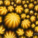 Lemon Cactus Field. Projekt z dziedziny Trad, c i jna ilustracja użytkownika nick_vikos - 26.04.2023