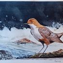 Arte e Natura. Projekt z dziedziny  Malarstwo, Trad, c i jna ilustracja użytkownika Roberto Faraci - 27.04.2023