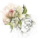 Fleurs à l'Aquarelle et crayon graphite . Ilustração tradicional projeto de maryleneroy - 27.04.2023