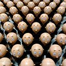 Clay building benches. Projekt z dziedziny Design użytkownika Richard - 28.04.2023