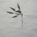 Introduction to Sumi-e Painting A course by Koshu , Artist and Teache. Traditional illustration project by llpaston - 04.29.2023