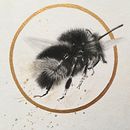My project for course: Illustrating the Natural World with Watercolor and Charcoal. Een project van Traditionele illustratie, Schilderij y Naturalistische illustratie van Tiffany Travalent - 30.04.2023