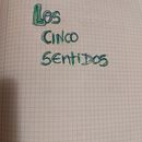 LOS CINCO SENTIDOS. Fiction Writing, Creative Writing, and Children's Literature project by anapozomohedano - 05.01.2023