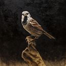 Mój projekt z kursu: Klasyczne malarstwo olejne: naturalistyczne portrety ptaków. Un progetto di Belle arti, Pittura, Pittura ad olio e Illustrazione naturalistica di Patryk Grabowski - 01.05.2023