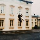 Mi proyecto del curso: Fotografía de viajes con smartphone para principiantes. Projekt z dziedziny Fotografowanie smartfonem,  Fotografia plenerowa i Fotografia na Instagram użytkownika Bárbara Castillo Tordecilla - 01.05.2023