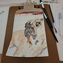 Gus . % Julia Cattirolo tarafından hazırlanan Sulubo, Ve a Resim projesi - 05.02.2023