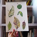 My project for course: Botanical Watercolor for Patterns Ein Projekt aus dem Bereich Traditionelle Illustration, Musterdesign, Aquarellmalerei und Botanische Illustration von Patricia Avila - 03.05.2023