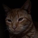 Deporte, Paisajes y más.. Een project van Fotografie van Luis La Paz - 05.05.2023