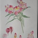 My (unfinished) failure 😆: Botanical Watercolor: Illustrate the Anatomy of Flowers. Un projet de Illustration traditionnelle, Beaux Arts, Peinture, Dessin, Aquarelle et Illustration botanique de Linda Gärdsmyg - 05.05.2023
