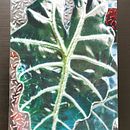 Mein Abschlussprojekt für den Kurs: Einführung in das Besticken von Fotos: Bilder mit Textur. Un progetto di Fotografia, Papercraft, Ricamo, DIY e Textile Design di Marina Racine-Gianelli - 05.05.2023