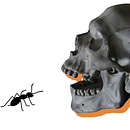 As formigas, Lygia Fagundes Telles. Projekt z dziedziny Design, Grafika ed, torska, Projektowanie graficzne, T i pografia użytkownika isabelaeckhard - 29.12.2021