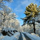 Snow Ein Projekt aus dem Bereich Fotografie von Madalena Peixoto - 08.05.2023