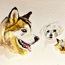 Mi proyecto del curso: Retratos expresivos de animales en acuarela. Watercolor Painting, Naturalistic Illustration, Traditional illustration, and Realistic Drawing project by perez_valiente - 05.09.2023