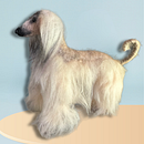 Mi proyecto del curso: Creación de animales con needle felting. Un projet de Artisanat, Conception de jouets, Art textile, Feutrage à l'aiguille , et Design textile de Bárbara Ramírez - 08.05.2023