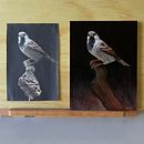 My project for course: Classical Oil Painting for Naturalist Bird Portraiture . % milasss007 tarafından hazırlanan Güzel sanatlar, Tablo, Yağlıbo, a Resim, Doğalcı İllüstras, Ve on projesi - 05.12.2023