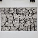 Mon projet du cours : Initiation à la technique de photogravure sur film photopolymère. Projekt z dziedziny Fotografia, Craft,  Sztuki piękne, Stemple, Fotografia art, st, czna i Fotografia analogowa użytkownika atelier_terredailleurs - 14.04.2023
