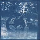Cyanotype au bord de la rivière. Un proyecto de Fotografía de Kenzo Picenni - 13.05.2023