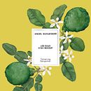 Ilustraciones para fragancias Angel Schelesser. Un projet de Illustration traditionnelle, Publicité, Illustration botanique, Packaging et Illustration naturaliste de Raquel Feria Legrand - 15.03.2022