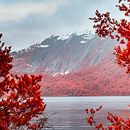 Buscando lo invisible . Fotografie, Retușarea fotografiilor, Fotografie digitală, Fotografie în aer liber, Fotografie arhitecturală și Teoria culorilor de julyminiero - 05.16.2023