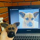 Meu projeto do curso: Feltragem com agulha: criação de personagens com lã e agulha. Un progetto di Artigianato, Design di giocattoli, Needle felting e Textile Design di saionara_martine - 18.05.2023