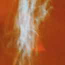 Dance, Digital Production and Facilitation . Stor, telling, Motion Graphics, VFX, Interactive Design, and Audiovisual Production project by Holly Rush - 05.18.2023