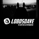 Mi proyecto del curso: LOBOSDAVE – El Arte de la Fotografía. Un progetto di Social media, Pubblicità, Fotografia, Cinema, video e TV, Belle arti e Graphic design di David Rojas Villalobos - 17.05.2023