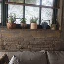 Plantas en la ventana en apartamento rustico Industrial (USA). Un proyecto de Decoración de interiores de Bixis Colina - 19.05.2023
