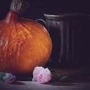 My project for course: Still-Life Photography: Create Dark and Moody Images. Un proyecto de Fotografía de producto, Fotografía artística y Fotografía gastronómica de Jen Urquhart - 21.05.2023