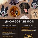 Encargos retratos mascotas. Projekt z dziedziny Trad, c, jna ilustracja, Ilustracja c i frowa użytkownika Laura Belén Pizarro Corzo - 22.05.2023