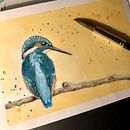 Mein Abschlussprojekt  Ein Projekt aus dem Bereich Traditionelle Illustration, Aquarellmalerei, Realistische Zeichnung und Naturalistische Illustration von watercolorpassionart - 23.05.2023