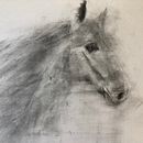 My project for course: Expressive Drawing with Charcoal. Un proyecto de Bellas Artes, Dibujo, Dibujo de Retrato e Ilustración naturalista				 de lauramac_88 - 23.05.2023