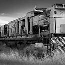 Blanco y Negro. Un progetto di Fotografia di Vero Zanellato - 22.05.2023