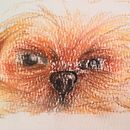 zizu . % Andrea Camilo tarafından hazırlanan Geleneksel illüstras, Ve on projesi - 05.23.2023