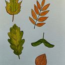 Nature illustration in watercolour. Projekt z dziedziny Malowanie akwarelą użytkownika Edyta Hetman - 24.05.2023