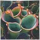 pitcher plants. Un progetto di Fotografia, Artigianato, Postproduzione fotografica, Ricamo e Programmazione di ihoey - 05.03.2023