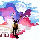 Diseños. Een project van Traditionele illustratie y  Ontwerp van César Eduardo Cabrera Chaffo - 26.05.2023