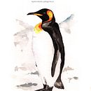 Ilustraciones aves . % María Agustina Salomón tarafından hazırlanan Geleneksel illüstras, Ve on projesi - 05.28.2023