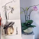 My project for course: Illustrating Nature: A Creative Exploration. Un proyecto de Ilustración tradicional, Pintura, Dibujo, Pintura a la acuarela, Ilustración con tinta e Ilustración naturalista				 de whitenoon2022 - 28.05.2023