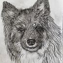 Charcoal pencil drawing with some corrections. Un projet de Illustration traditionnelle de Elspa Metzdorff - 29.05.2023