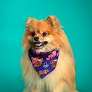 Mi proyecto del curso: Fotografía lifestyle de perros. Un progetto di Fotografia, Fotografia di ritratto, Fotografia per Instagram, Fotografia documentaria, Fotografia lifest e le di Fabian Estrada - 08.04.2023