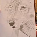 Mi proyecto del curso: Dibujo naturalista de animales con grafito. Projekt z dziedziny Trad, c, jna ilustracja, R, sunek ołówkiem,  R, sunek, Ilustracja naturalist i czna użytkownika leznoa123 - 30.05.2023