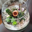 Mi proyecto del curso: Arte vegetal: crea tu propio terrario abierto. Un projet de Design d'intérieur, Décoration, DIY, Art floral et végétal, Pa , et sagisme de PAULINA TOBAR - 28.02.2023