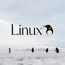 Mi proyecto del curso: Diseño de logos: del concepto a la presentación . Desain, Pencitraan Merek, Identitas, Desain Grafis, Dan Desain Logo proyek oleh Diana C Vargas G - 05.29.2023