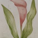 Cala Ein Projekt aus dem Bereich Aquarellmalerei von verosfera - 03.06.2023