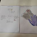 Mi proyecto del curso: Ilustración artística para libros infantiles. Un projet de Beaux Arts, Peinture, Créativité, Dessin au cra, on, Dessin, Photographie artistique, Illustration jeunesse, Narration , et Album illustré de clavijoagustina - 03.06.2023