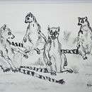 Lemurs sunbathing. My project for course: Animal Illustration with Charcoal and Ink Ein Projekt aus dem Bereich Bildende Künste, Zeichnung, Illustration mit Tinte und Naturalistische Illustration von pronker_therover - 04.06.2023