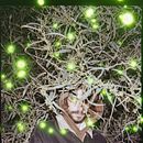 Faustorama Ein Projekt aus dem Bereich Musik und Musikproduktion von Faust - 22.07.2022