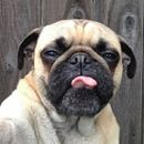 Meu projeto do curso: Roteiro para curtas-metragens de ficção. Film, Video, TV, Writing, Film, Filmmaking, Script, Narrative, and Creative Writing project by Gustavo Bertin - 06.07.2023